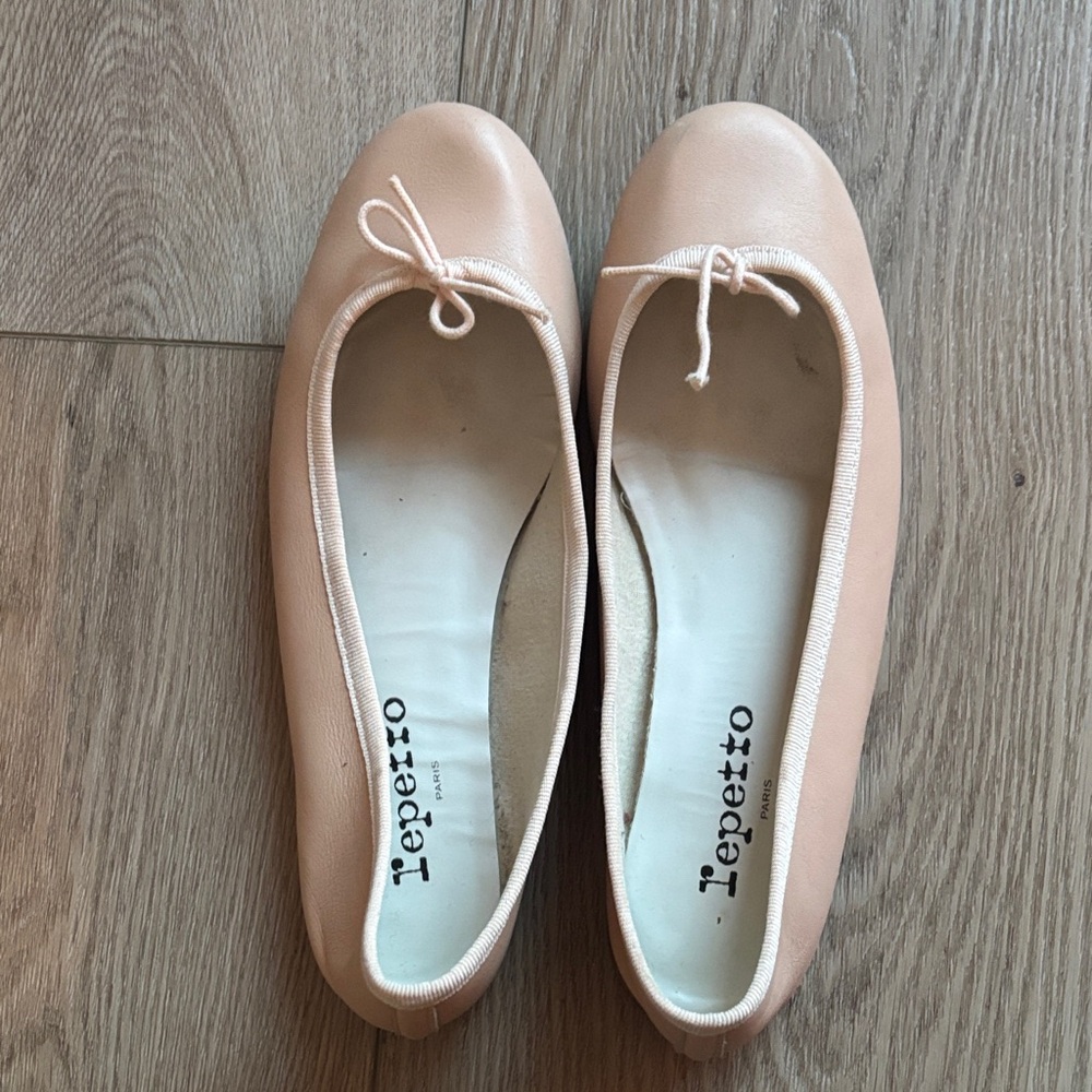 Repetto Blush Pink Ballet Flats - Picture 2 of 10